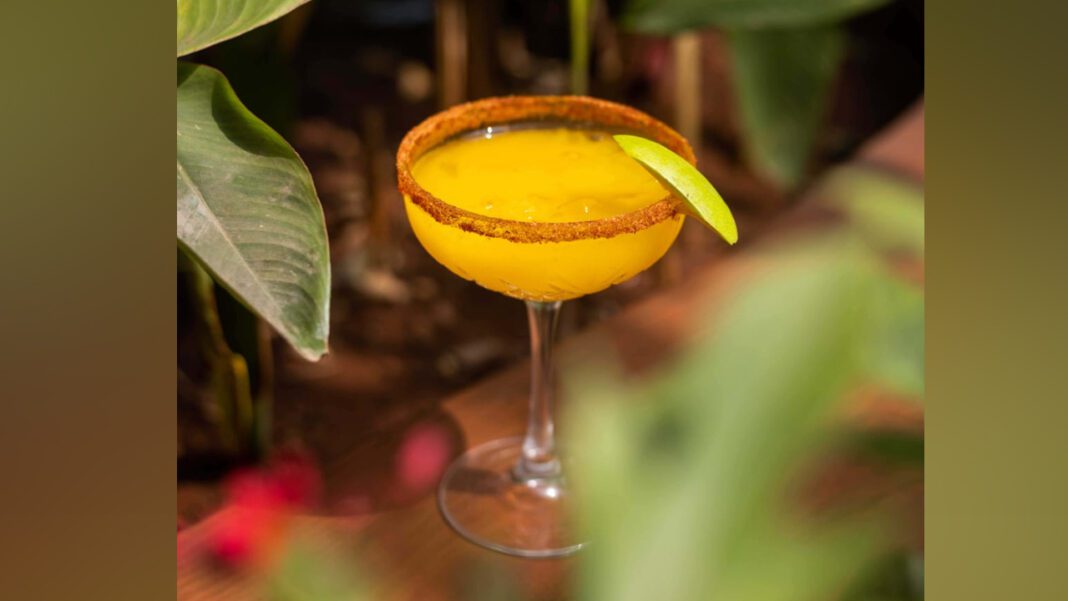 Largest Tequila Bar