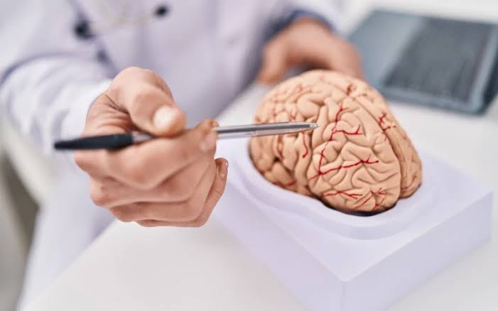 2ba21867-4259-4155-8b0a-34e938fecb66