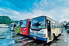 special buses.tif